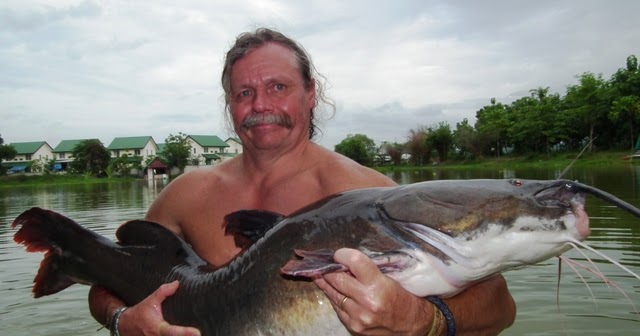 Asian red top tail catfish care